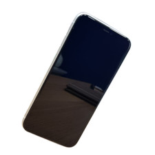 Apple iPhone 11 sbloccato 128